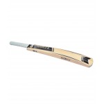 GM Icon Maestro Kashmir Willow Cricket Bat